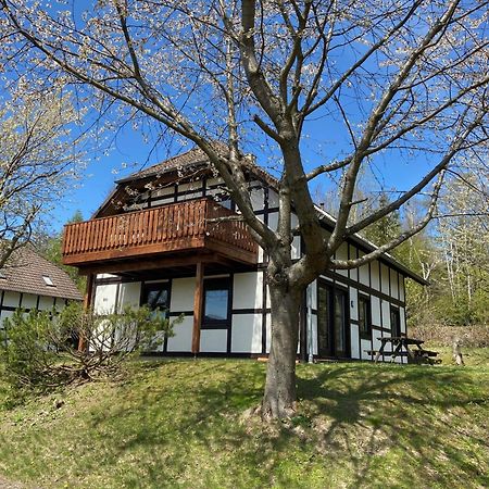Ferienwohnung Lix Direkt Am Waldrand Frankenau Exterior photo